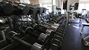 Flamingo Resort - Video Tour