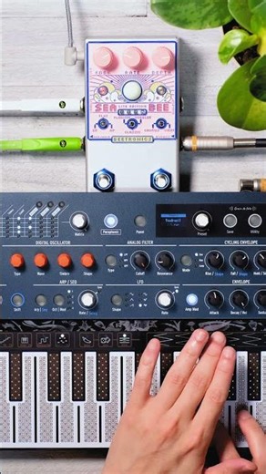 Sea Current Ambient｜MicroFreak & Seabee Lite #shorts
