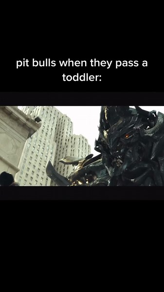 glad to see transformers memes are here #transformers #meme #transformerstok #pitbull