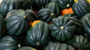 9 Gardening Tips For Growing High Yields Of Acorn Squash