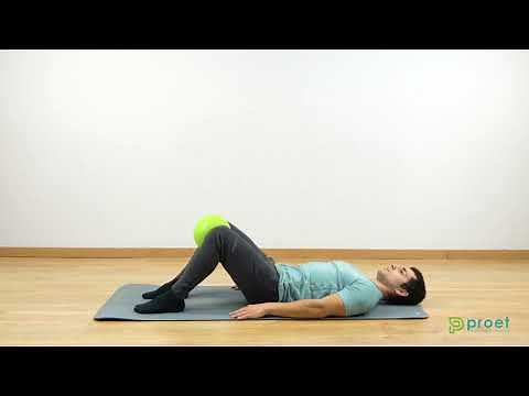 838. Aductor isométrico con pelota rodillas flexionadas