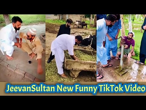 JeevanSultan Very Funny TikTok Videos | Pakistani Punjabi Famous TikToks