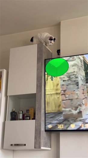 Recycled Video iz 2024: Nova Sabka za SVE!