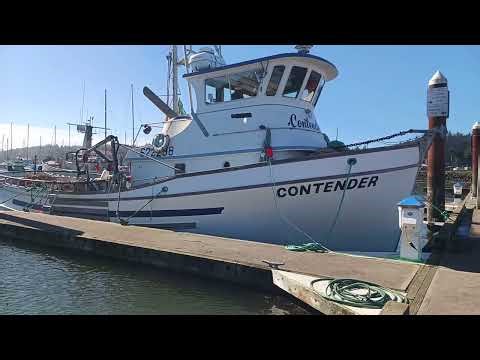 Fishing Boats. Charleston Oregon. Oregon coast. 
