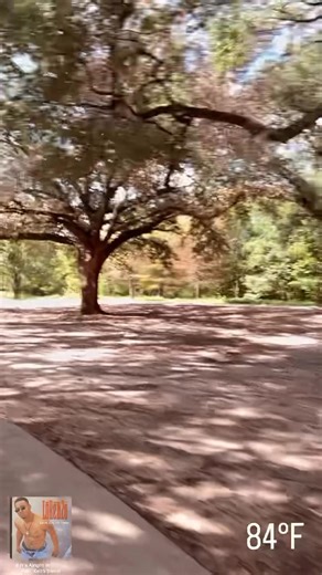 Focused | Kirko Bangz