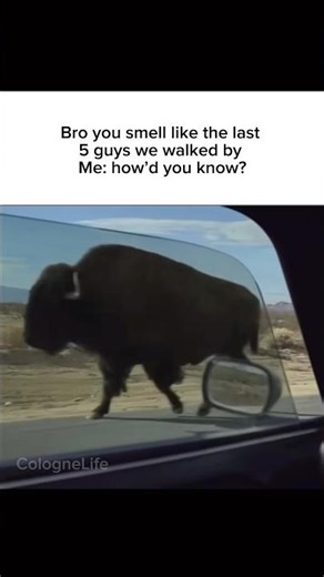 So many other options✌🏽😭