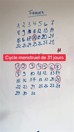 Cycle menstruel | period