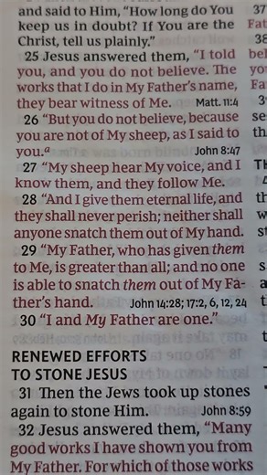 Read aloud Bible verses John 10:25-30