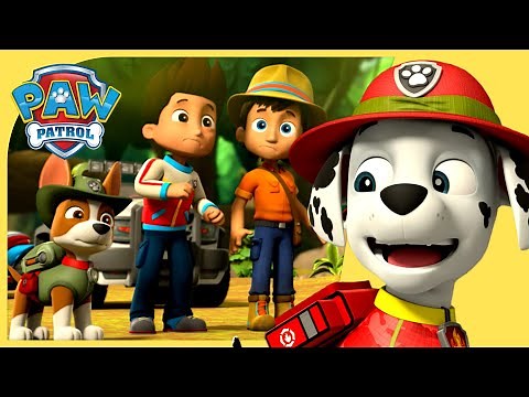 Marshall Saves a Monkey 🐒 + More Rescue Episodes - PAW Patrol - Cartoons for Kids Compilation