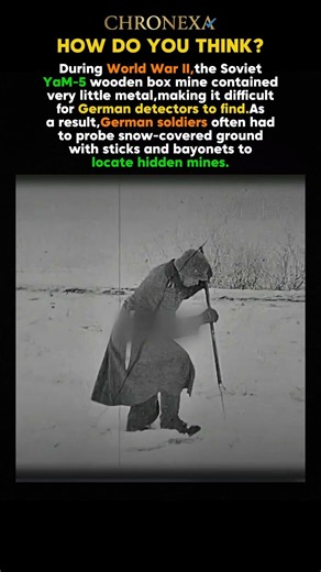 The Soviet YaM-5 Mine That Challenged German Mine Detectors#history#shorts