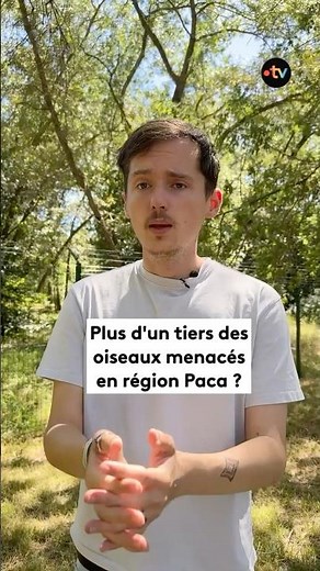 Plus d'un tiers des oiseaux menacés dans la région ?