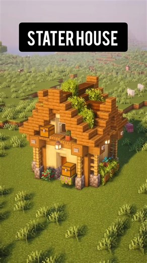 Mincraft stater house tutorial #minecraft #shrots