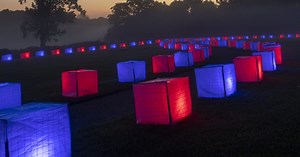 Light: Installations by Bruce Munro