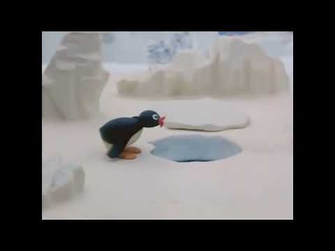 Pingu - Nooooo