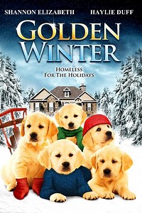 Golden Winter Summary, Trailer, Cast, Where to Watch and More