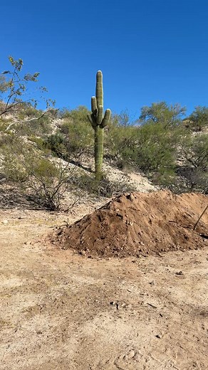Day Two of DirtFest at Lost Dutchman’s Stanton Camp is all about teamwork, dirt, and GOLD! 💪⛏️ Today’s big event — the Common Dig — has everyone working side by side, moving dirt, running pay, and chasing that sweet yeller stuff. It might be a full day of hard work under the Arizona sun, but when the pans start showing color, the smiles say it all. 😄 Every flake, every nugget, and every laugh gets shared — because all the gold recovered is split equally among the crew. That’s what makes LDMA e