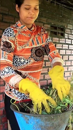 Cambodia daily Life: The Real Life of Cambodian Farmer in Remote Area [ Khmer rural post ]