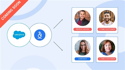 Create personas with Salesforce data | Delve AI integration