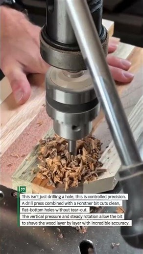 Perfect Flat-Bottom Hole with Drill Press | Wood Precision #Woodworking #Tools #DIY