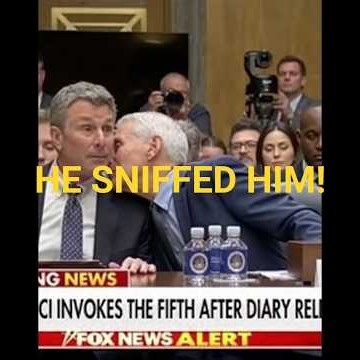 Rand Paul vs Fauci: The Fifth Amendment Goes Full Absurdist