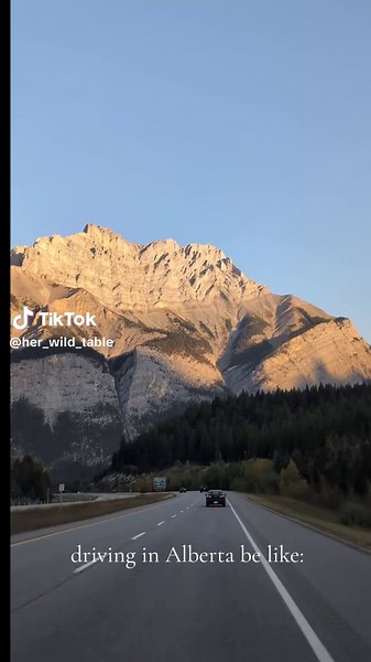 driving in Alberta is absolutely beautiful! #icefieldsparkway #travelalberta #drivinginalbertabelike #roadtrip #albertacanada