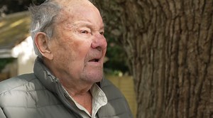 Restaurant chain could face legal action after felling ancient oak