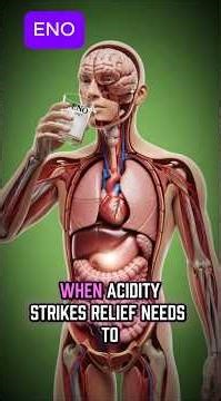 ENO inside body #Eno #EnoInsideBody #AcidityRelief #Antacid #DigestiveHealth