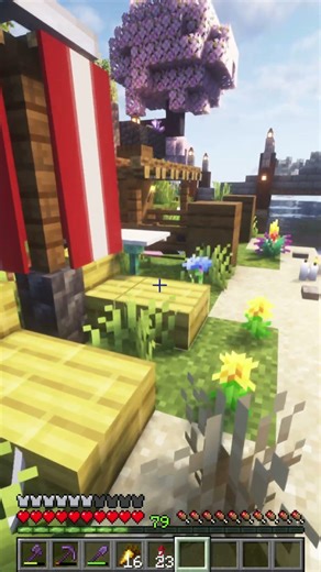 Adorable Cat Beach in Minecraft!