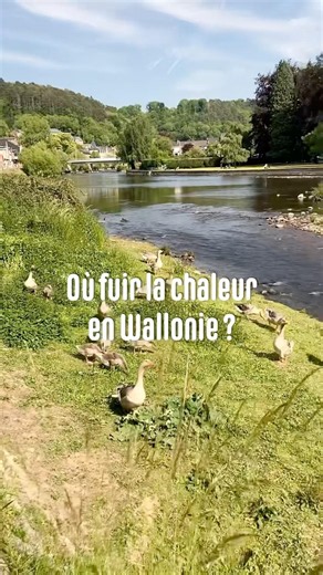 Où fuir la canicule 🥵 en Wallonie ?