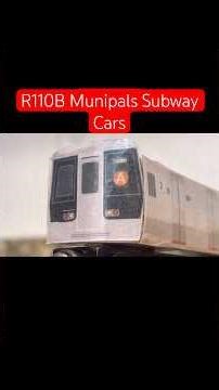 The Munipals R110B | #munipals