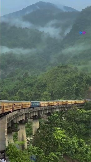 Nature full-screen status video 🌱 4k video🌍 HD - 2023 #Ind_nature