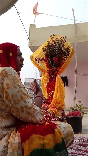 जय शिव गुरुजय तुलसी मैया की भजन