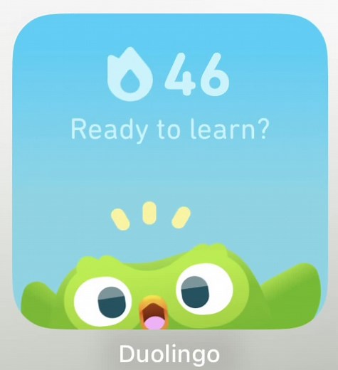 DuoLingo Gets Mad: Funny Moments Compilation