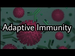 Immunology || Adaptive Immunity || Characteristics of Adaptive Immunity ||