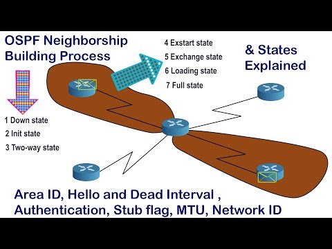 OSPF Neighborship Building Requirements and States Explained