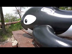 INFLATABLE WHALE - OVERINFLATION - ACCIDENTAL POP - PUMPING - DEFLATING - INFLATING