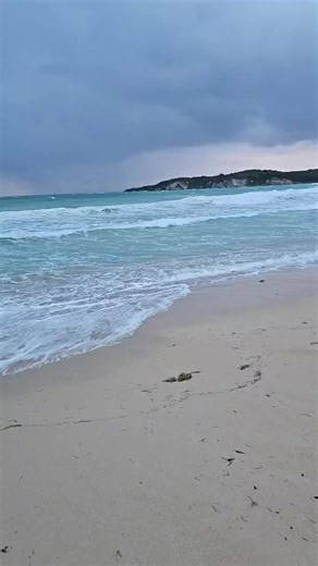 Albert Perry on Reels