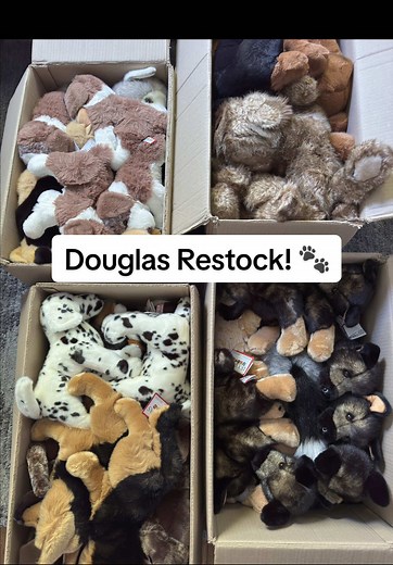 Discover Douglas Cuddle Toys Plushies Launching Soon