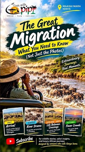 The Great Migration Explained: What You Really Need to Know