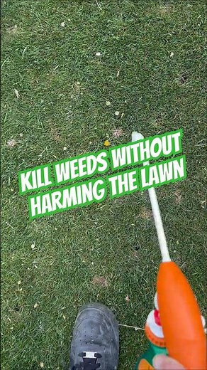 Ortho lawn weed killer is a great option to kill weeds without harming your grass #lawn #lawncare