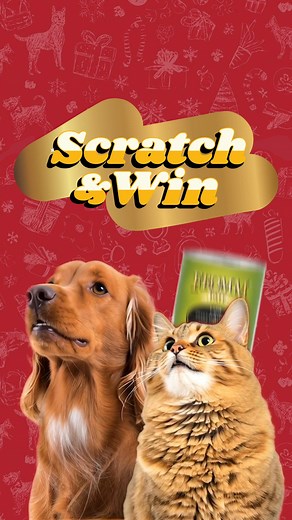 It’s back! 🐾 Our Scratch & Win Event runs Nov 6–19, and every card wins! You could score 1 of 5 $3,000 travel vouchers, Global Pet Foods gift cards, AIR MILES® Reward Miles, or instant win prizes like free cans, treats, toppers, and accessories. 🎁🎉 Don’t miss your chance to Scratch & Win — head to your local Global Pet Foods today! #GlobalPetFoods #ScratchAndWin #EveryCardIsAWinner #WinBig #PetParentPerks | Global Pet Foods