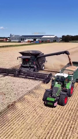 Fendt 10T IdealDrive combine in action