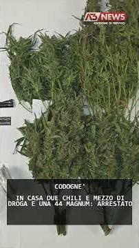 IN CASA DUE CHILI E MEZZO DI DROGA E UNA 44 MAGNUM: ARRESTATO | 02/05/2026