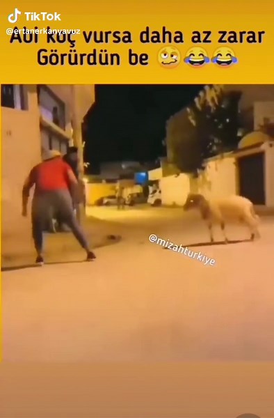 Hilarious Goat Chases Man in Urban Adventure