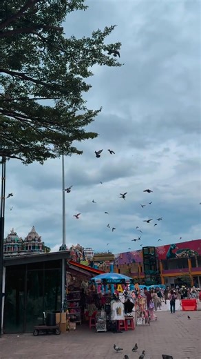 Beautiful creature in Bath Caves | Batu Caves Temple