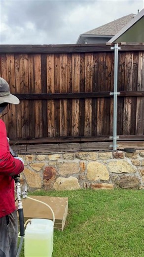 Cleaning a Fence for Staining! #satisfying #softwashing #fencestaining