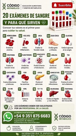 🩸20 análisis de sangre que pueden revelar mucho más de lo que imaginás sobre tu salud