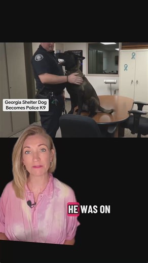 From shelter dog to police K9