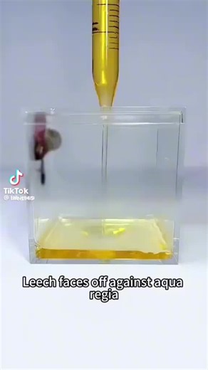 Volunteers Only: Leech Survival Challenge