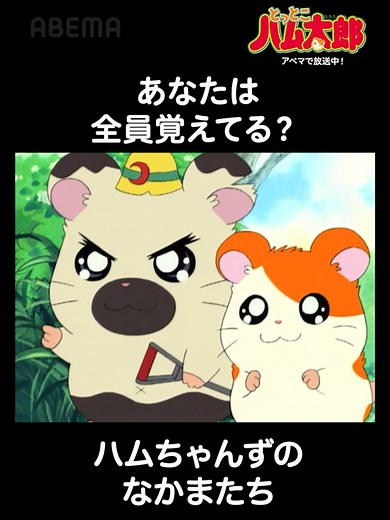 とっとこハム太郎の仲間たちを覚えていますか？